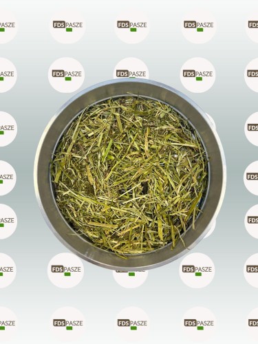 FDS ALFA PERFORMANCE.jpg