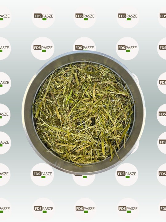 FDS ALFA PERFORMANCE.jpg