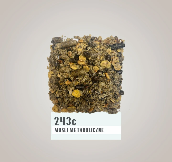 243C.jpg