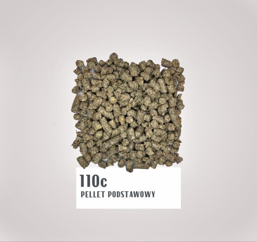 110c.jpg