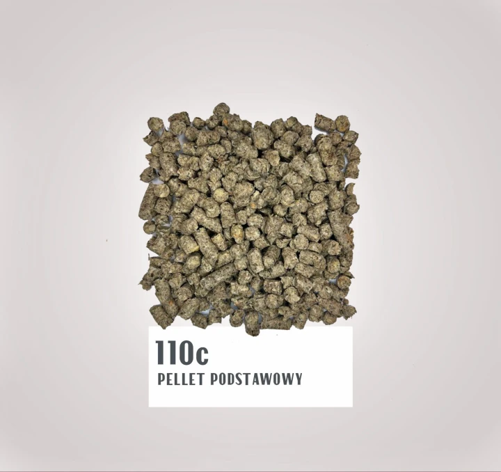 110c.jpg