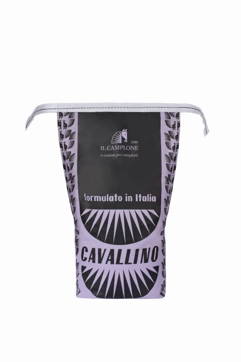cavallino 72ppi.jpg