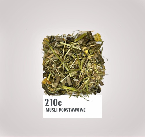 210c.jpg