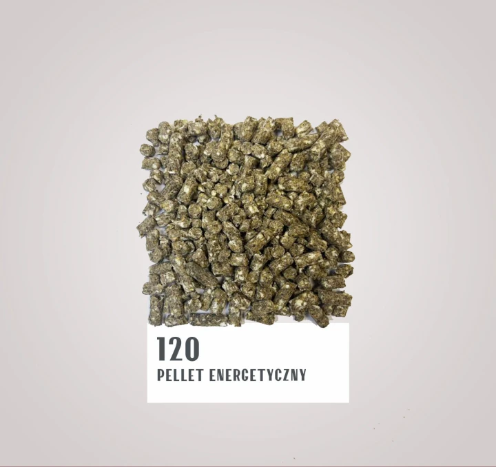 120.jpg